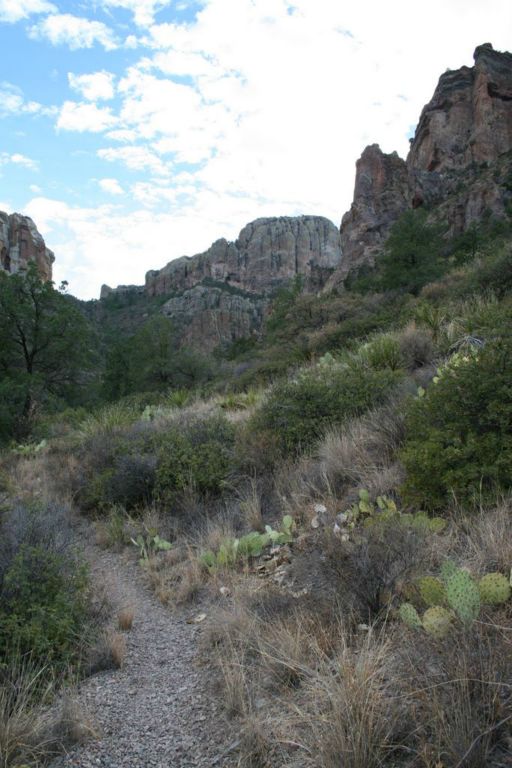 Winding section of Pine Canyon Trail.