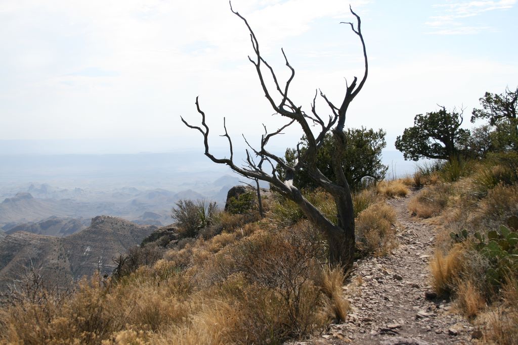 South Rim trail offers these types of views for about a mile.