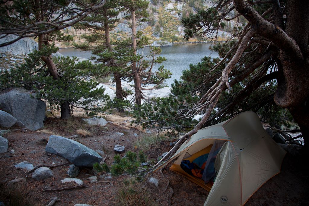 Campsite tucked under a tree.