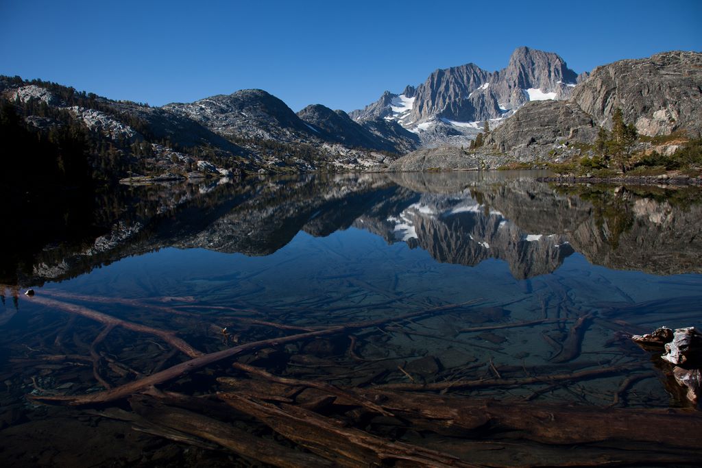 Easily visable dead wood in Garnet Lake