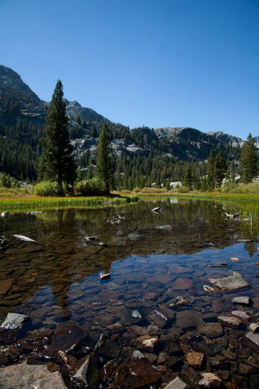 Mountain stream.