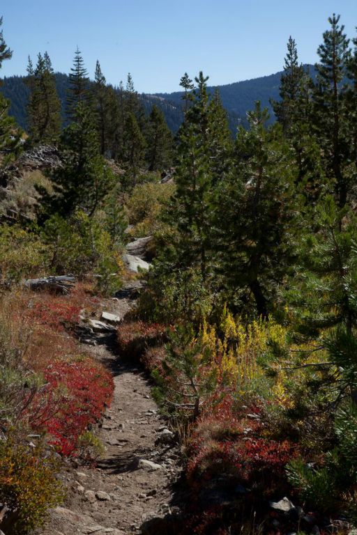 Fall colors along the trail.