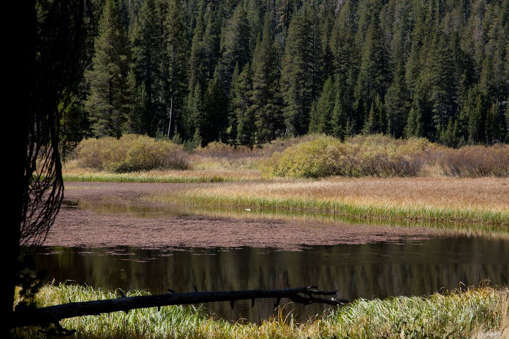 Lake near Devil's Postpile.