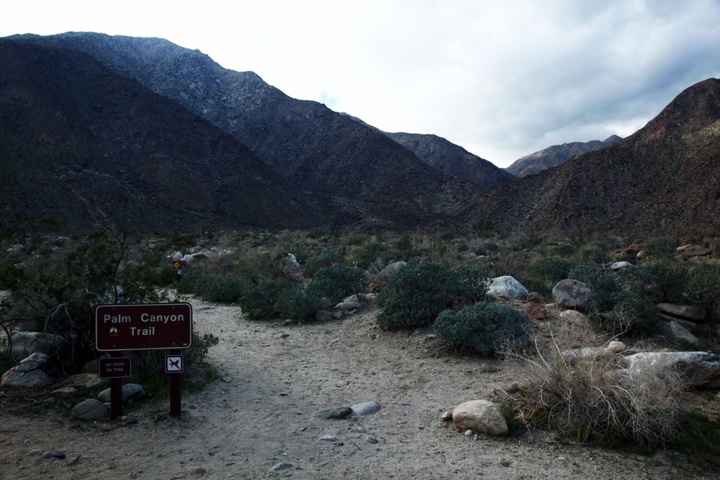Starting off our hike at the Palm Canyon Trailhead.