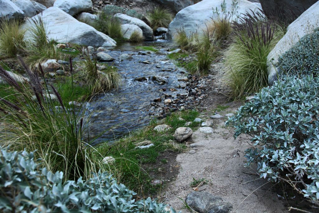 Trail running along side the stream.