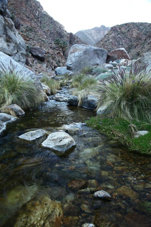 There were about 100 stream crossings on this hike.