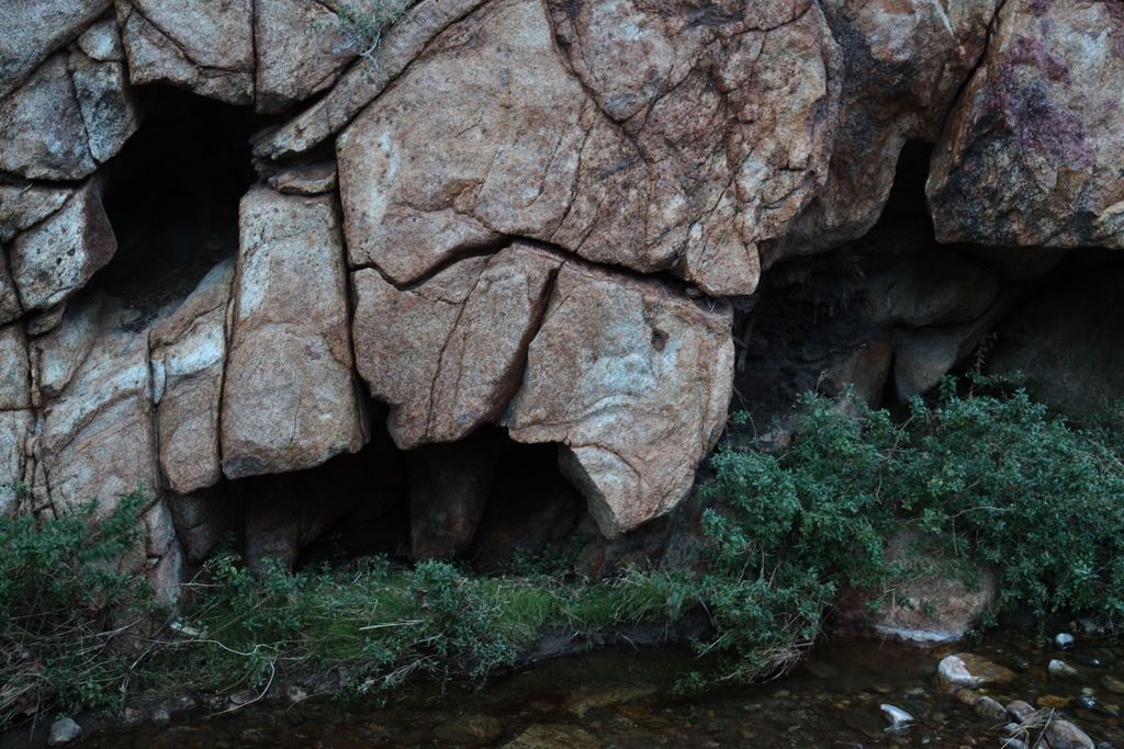 Rock resembling a bird.