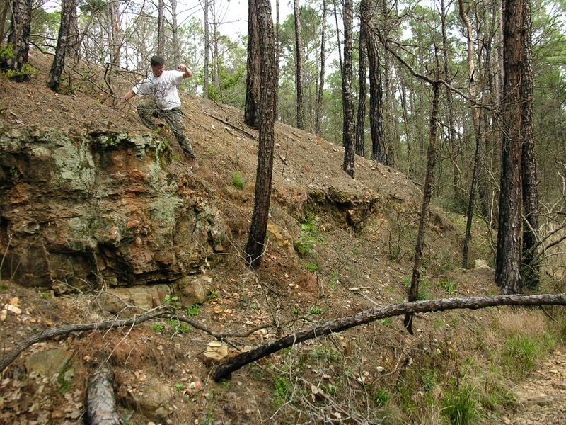 bastrop_058.jpg