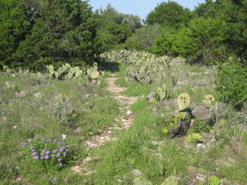 colorado_bench_133.jpg