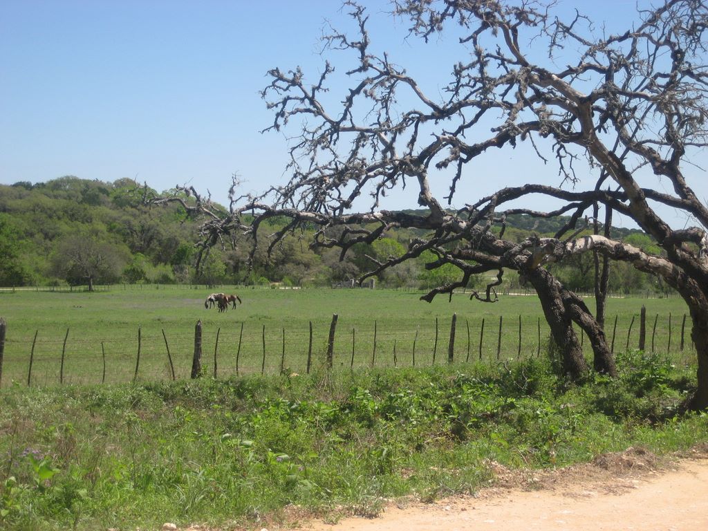 hill_country_197.jpg