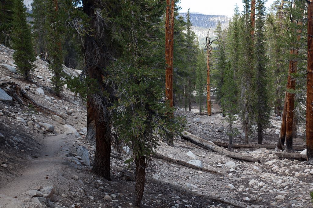 Example of the sandy terrain.