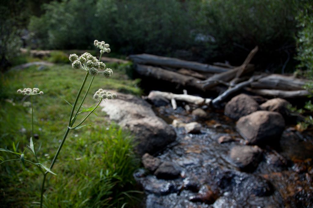 Another stream crossing.