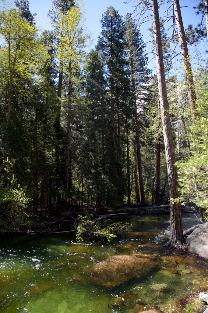 South Fork Kings River