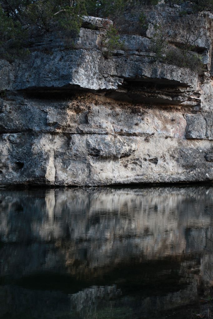 The pond.