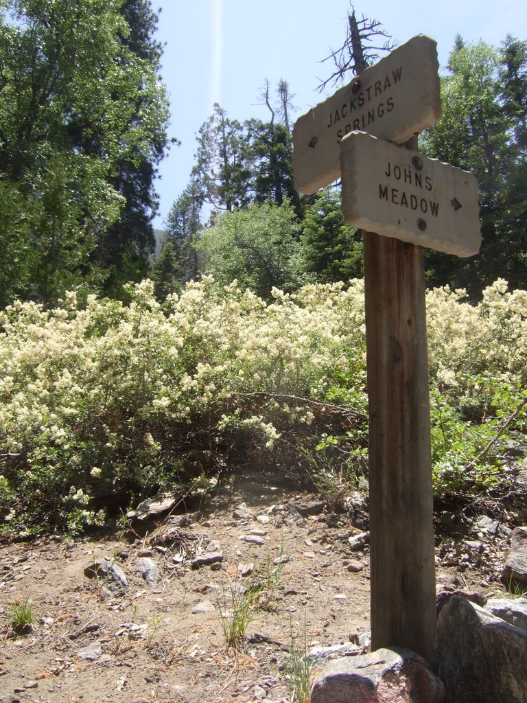 Trail sign surrounded by wildflowers.