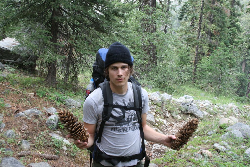 The pine cones were huge!  And for some reason, I'm not too happy about that.