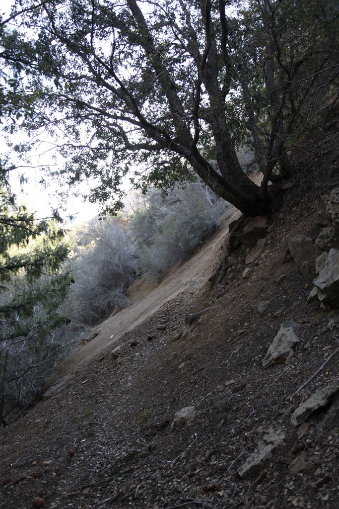 An example of some of the terrain the trail crosses