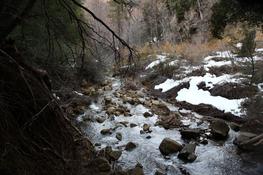 Snowy creek.