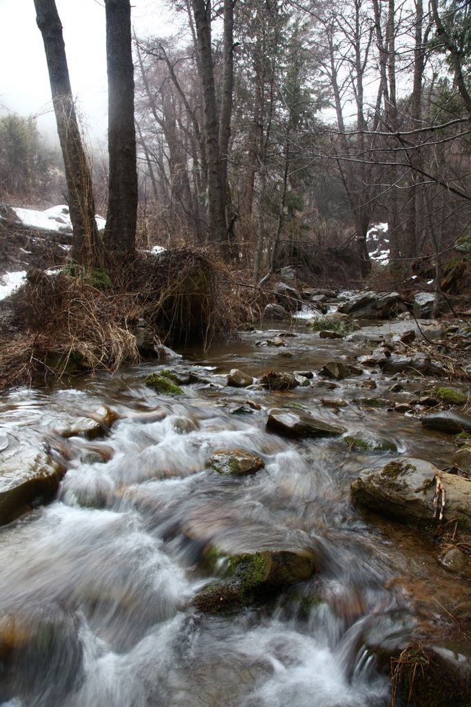 View from the creek.