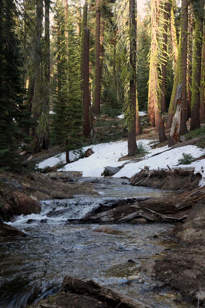 Snow covered stream on the way to North Dome