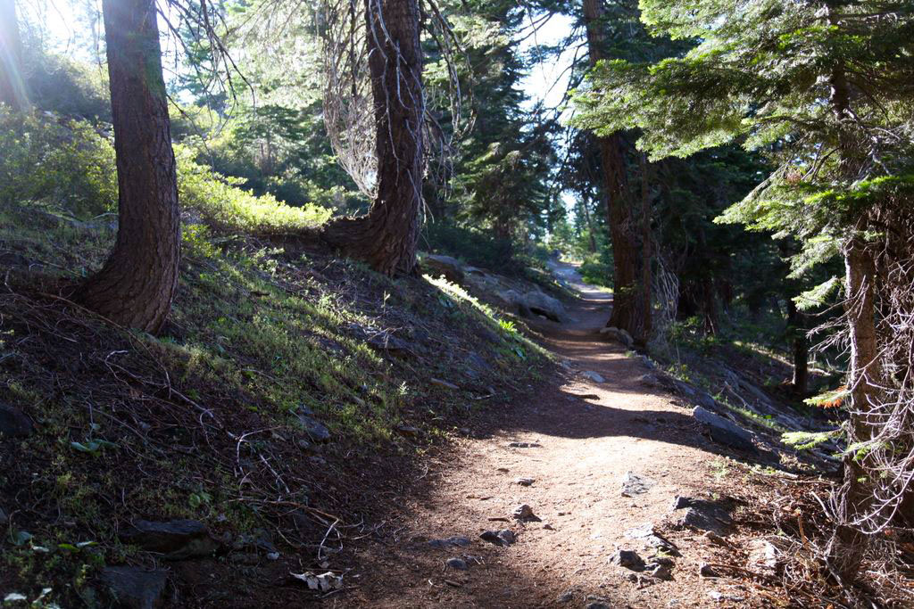 Trail to Sentinel Dome