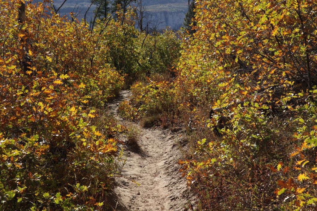 And a little too early for fall color.