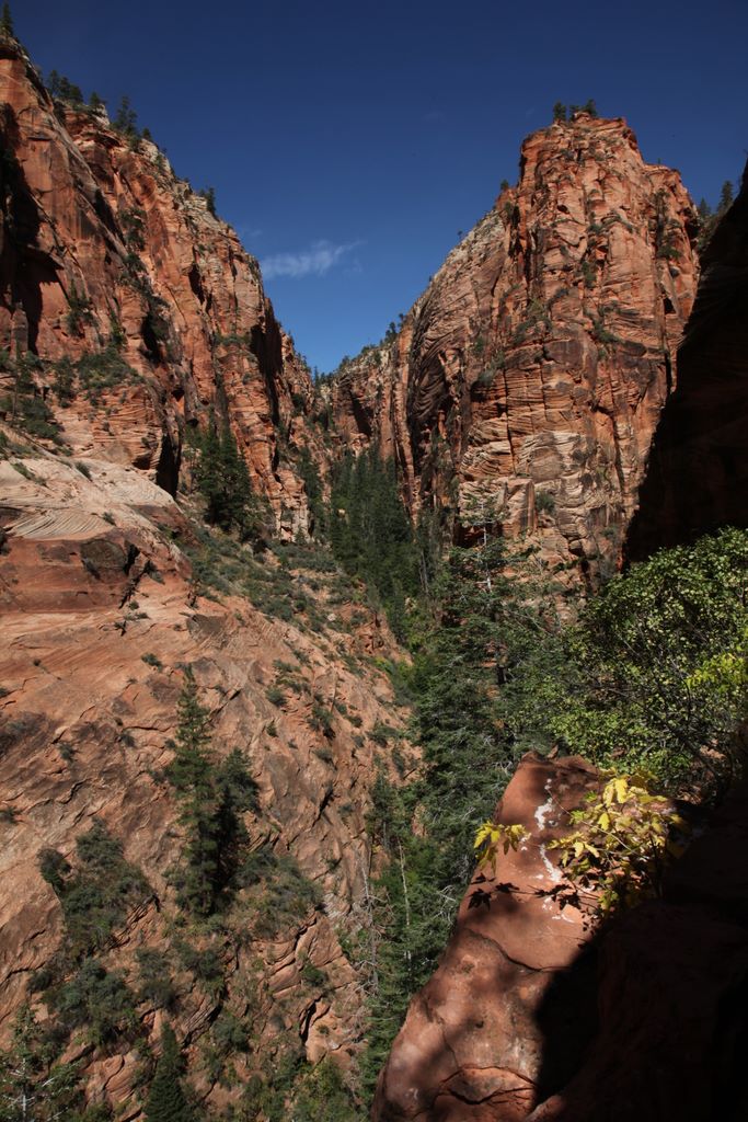 The sandstone cliffs were really beautiful.