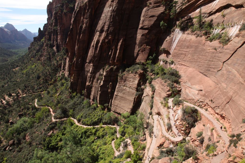 Angel's landing trail.