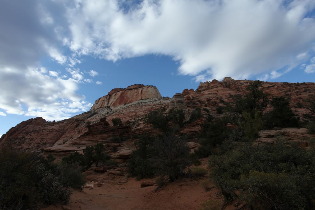 Scenery along Overlook Trail.